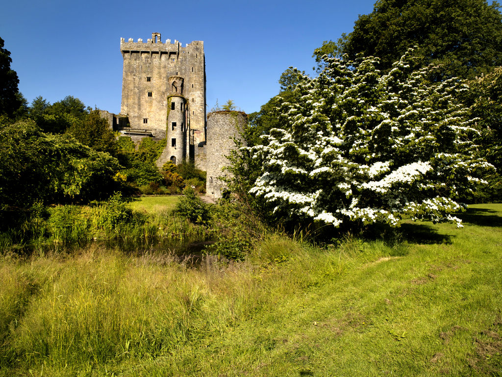 Blarney Castle with O'Connors of Kerry